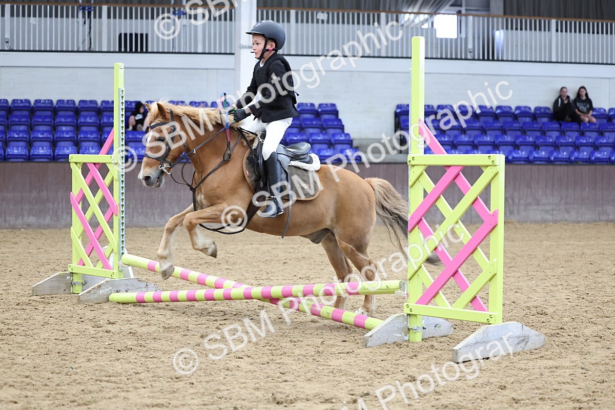 SBM_006930 - Class 1 - 40cm showjumping