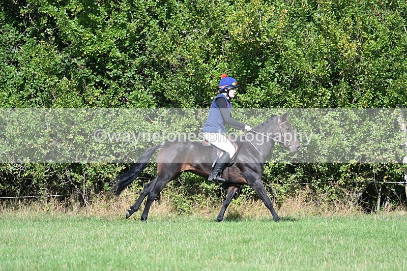 WJ7_8565 - 60cm Pairs