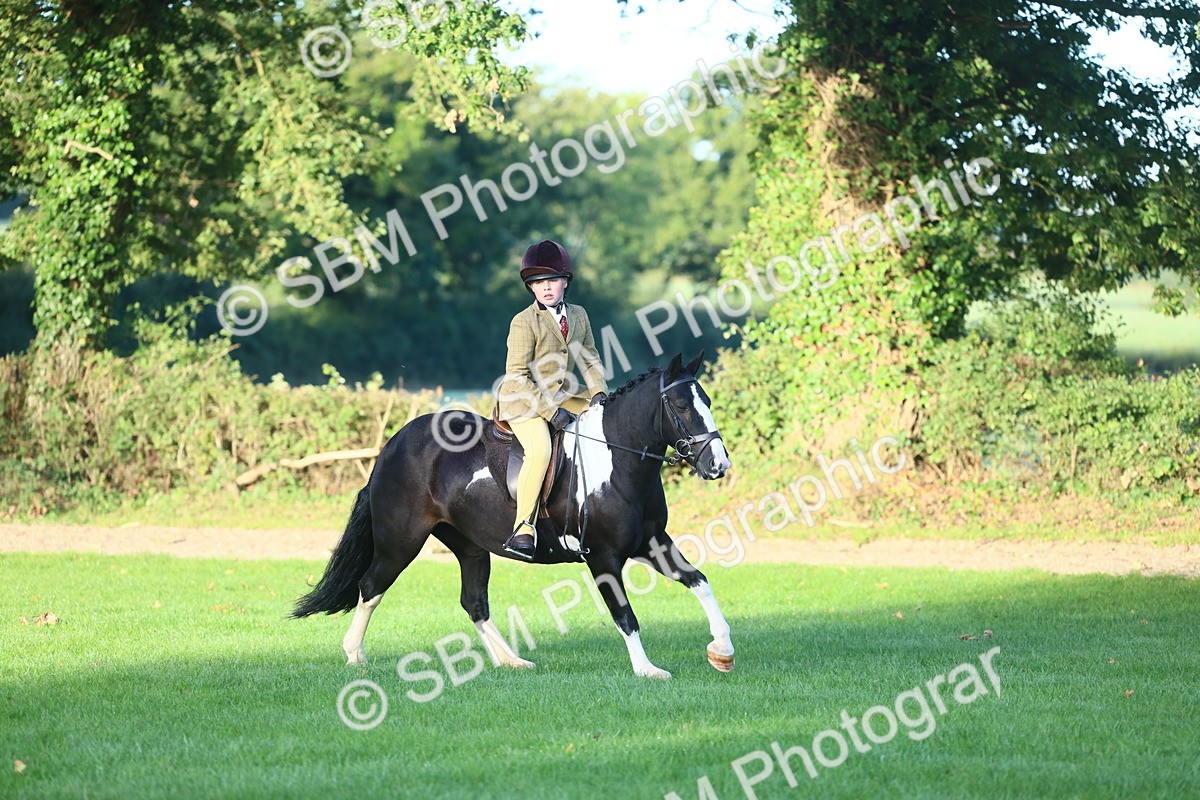 SBM_37191 - S29 - Novice & Newcomers Working Hunter Pony
