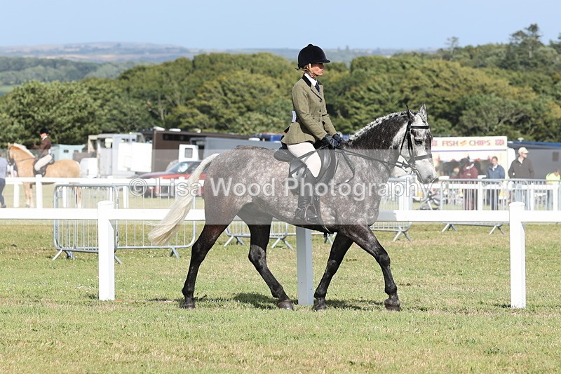 JPP_2851 - Class 20: Working Hunter 70cm