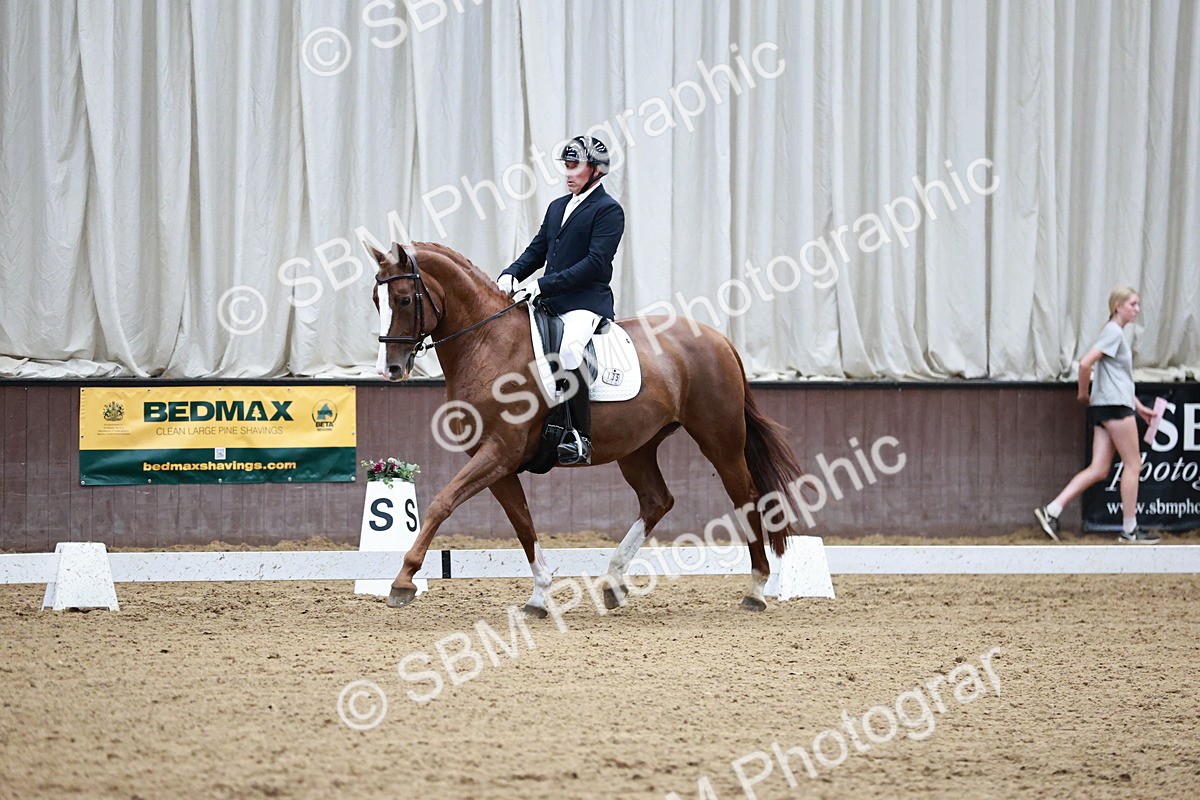 SBM_006666 - Class 11 - Elementary 6 Gold - 14.12-15.00