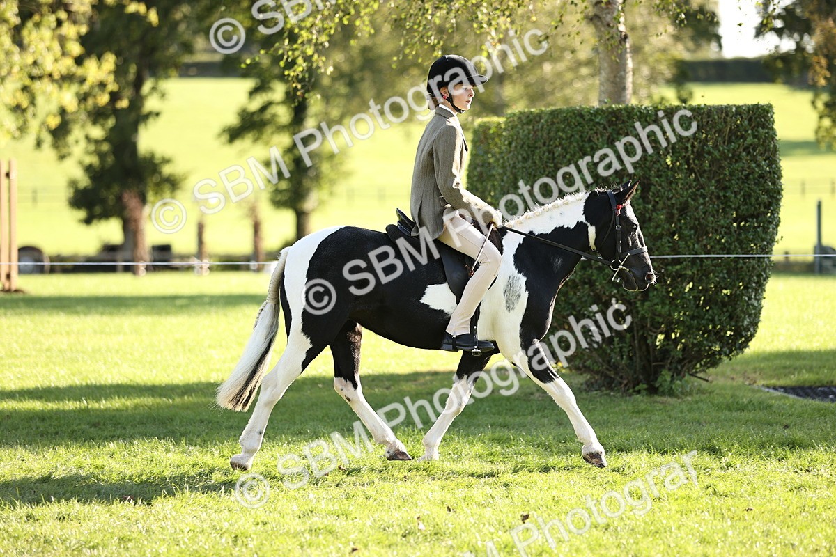 SBM_29445 - S7 - Novice & Newcomers Ridden Pony