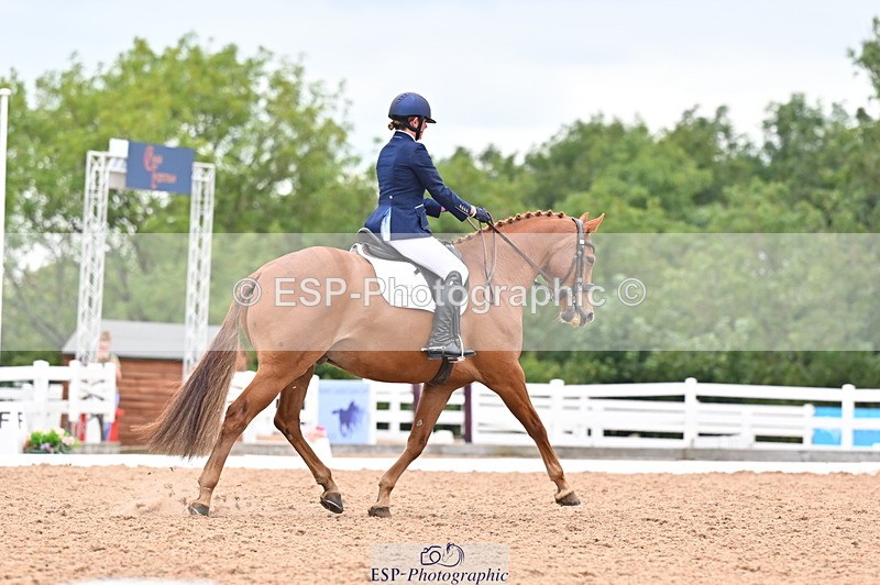 240817A-150113-09756 - 302-Charlotte.Billson-Killycloghan.Sun.King