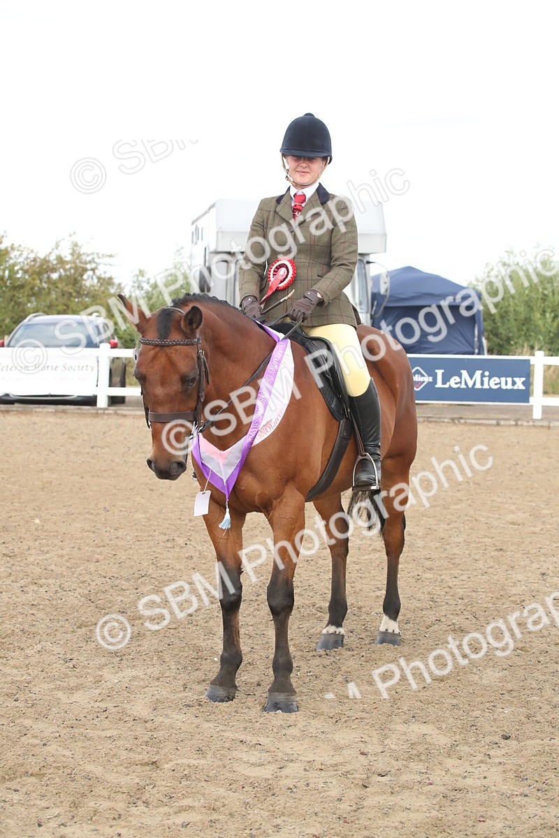 SBM_15244 - Class 506a - Working Veteran - 50cm (15-19)