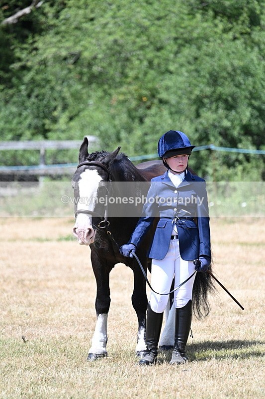 WJ7_2172 - Class 5 Most Handsome Gelding (up to 14.2hh) in hand