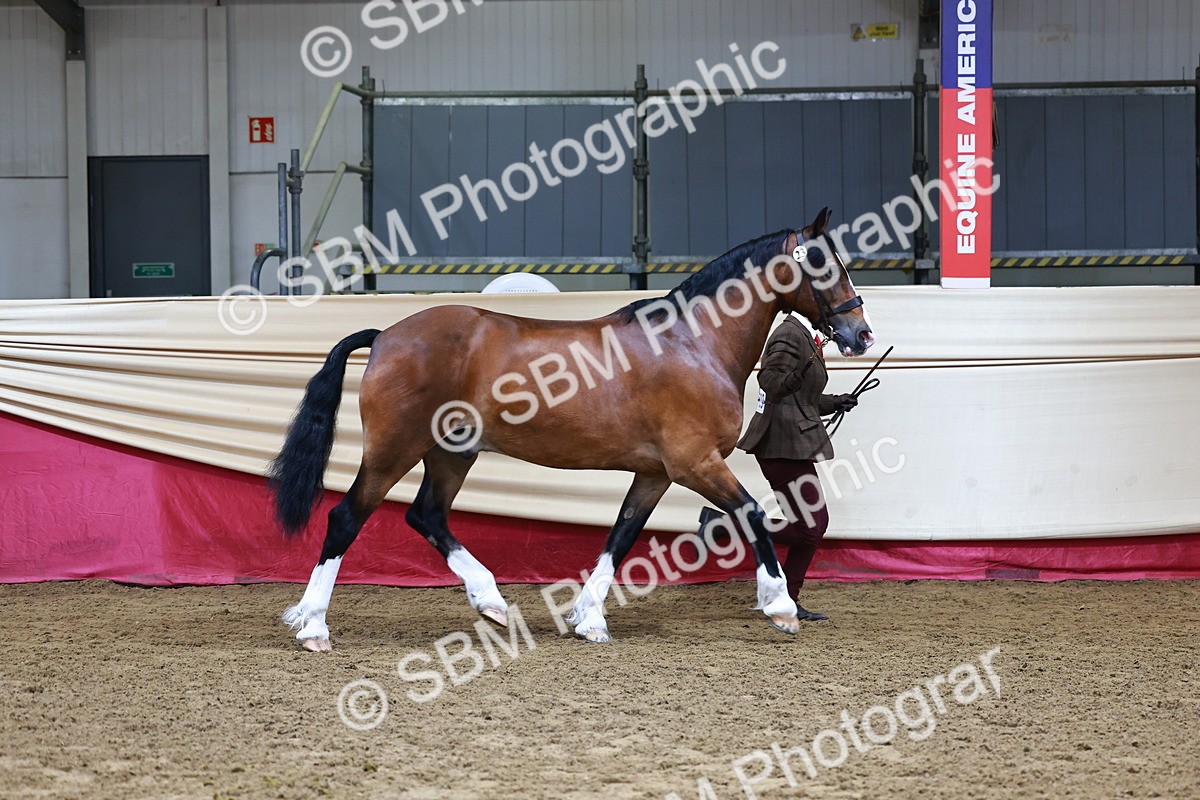 SBM_22138 - Class 902 - Supreme Final - IH Diamond