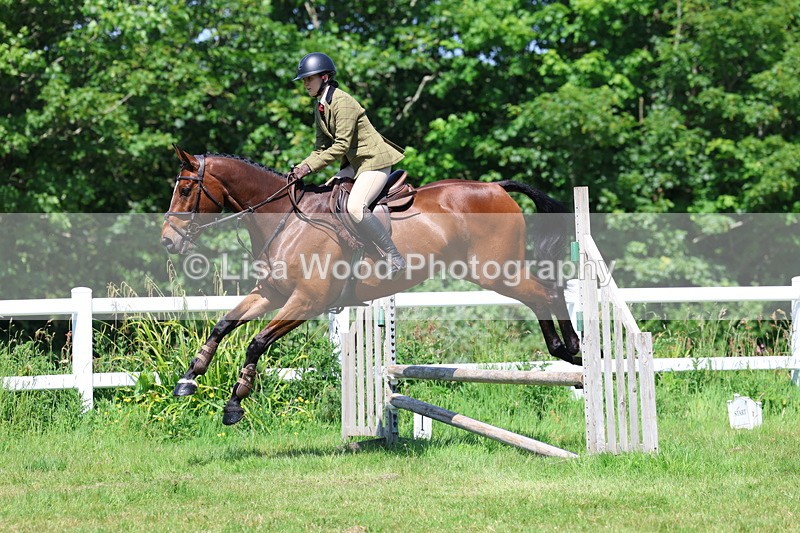 3E7A7081 - Class 30: Novice Working Hunter