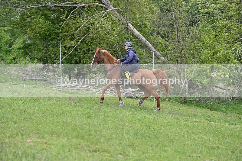 WJ6_3258 - A camera