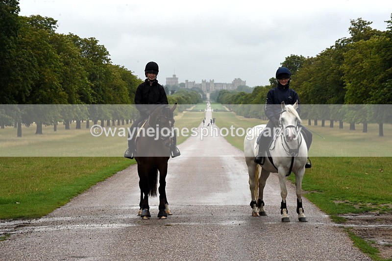 TT3_8182 - Time at Crossing 09:15 to 10:15