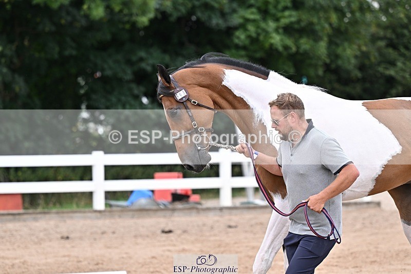 250716-134333-00663 - Trot Up 1.30 to 2.30