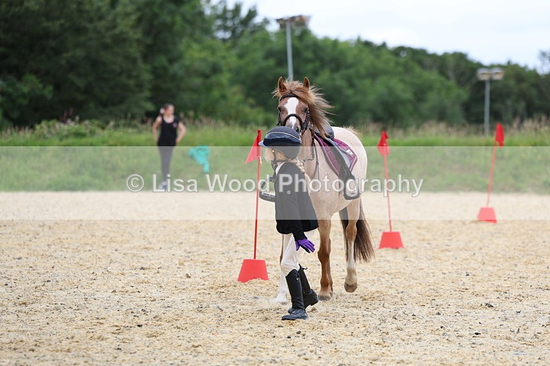 3E7A9454 - Walk trot run