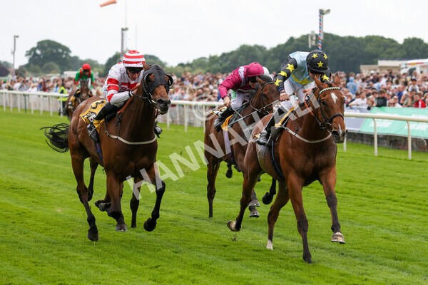 yr11062022r3-29 - Race 3 2.35pm The JCB Stakes
