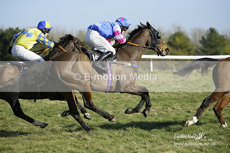 PtP 270222 238 - South & West Wilts Point-to-Point Larkhill 27/02/22