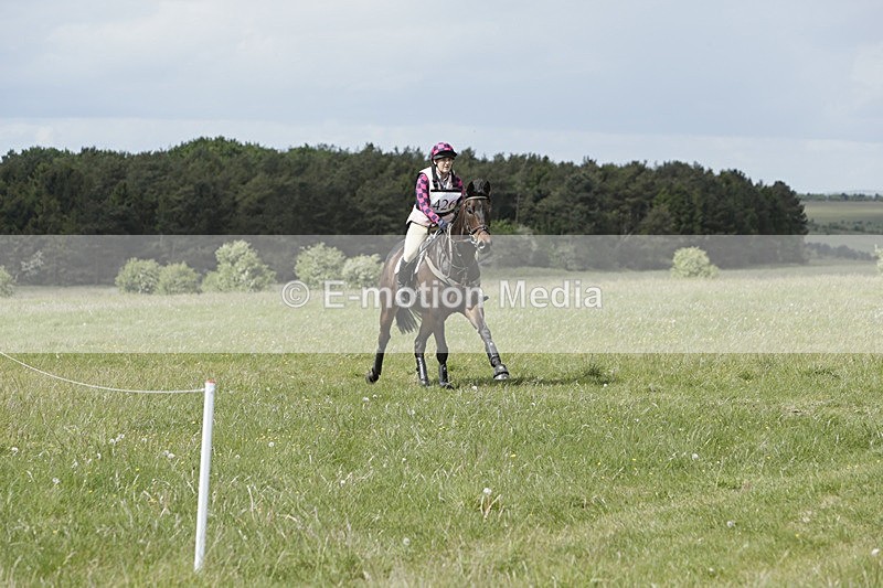 BVHT 140517  NXC -494 - Class 2 XC Novice 14/05/17