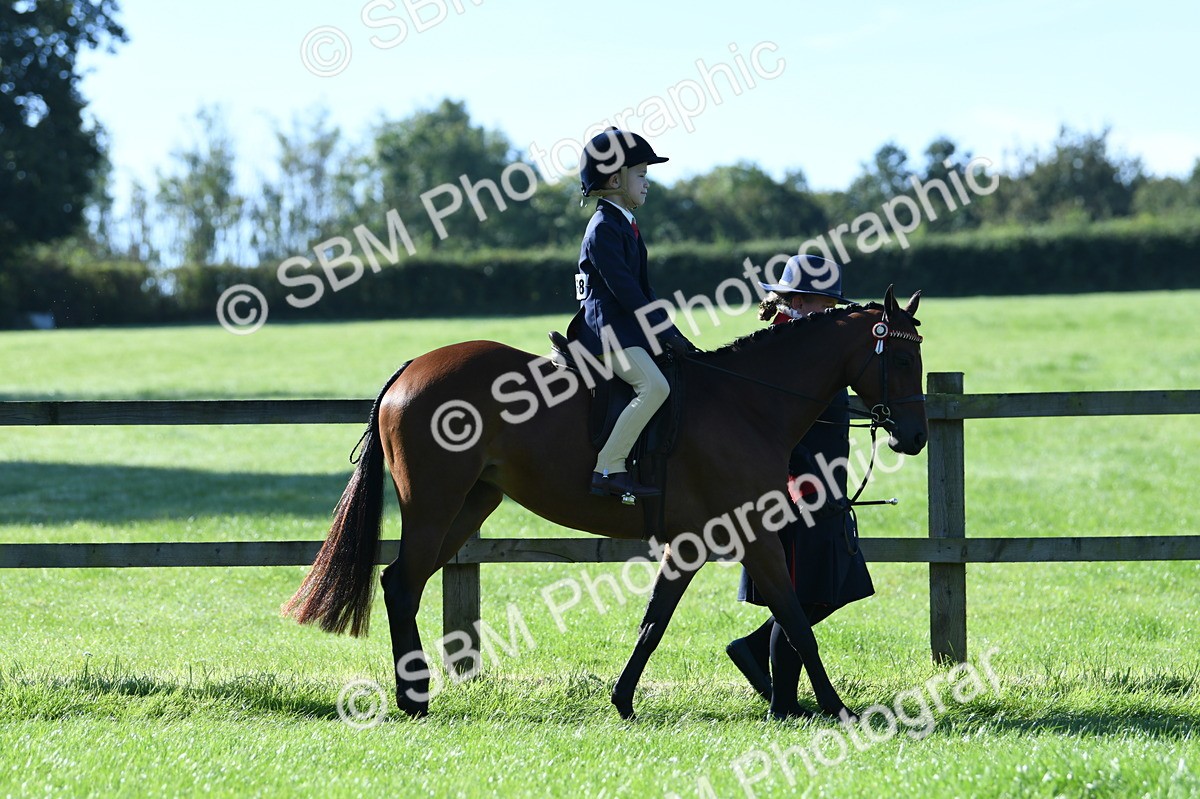 SBM_36698 - S18 - Novice & Newcomers Lead Rein Pony