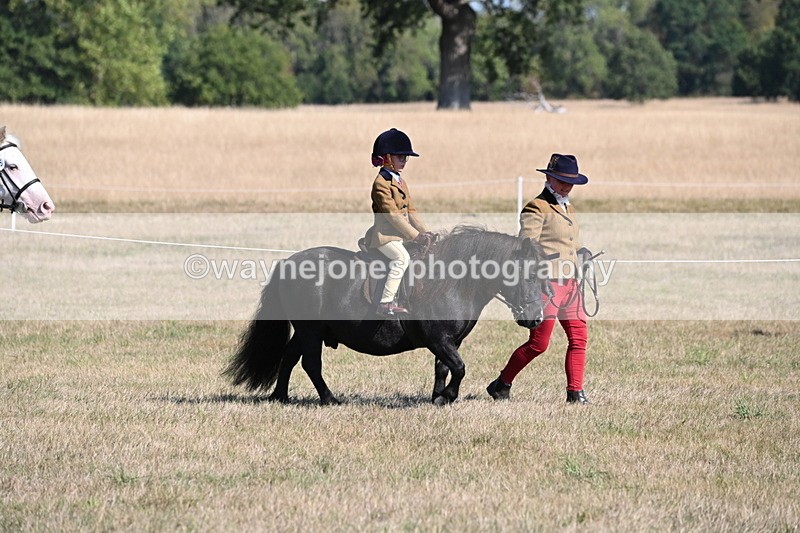 WJ6_7390 - Class 34 Judges Choice