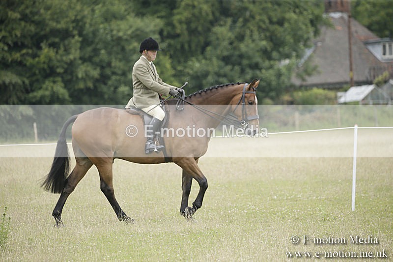 B230619-0919 - Bourne Valley Riding Club Summer Show 23/06/19