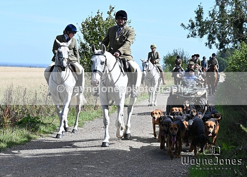 WJ7_0461 - Berks & Bucks - Hound Exercise – Kennels 06-09-26