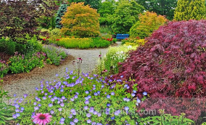 Kingsbrae Perennial Garden Saint Andrews New Brunswick Canada