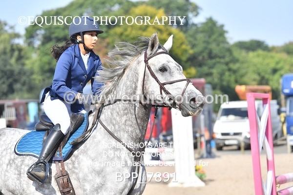 BPP_7891 - CLASS 3 Senior BritiNovice/ 90cm Open