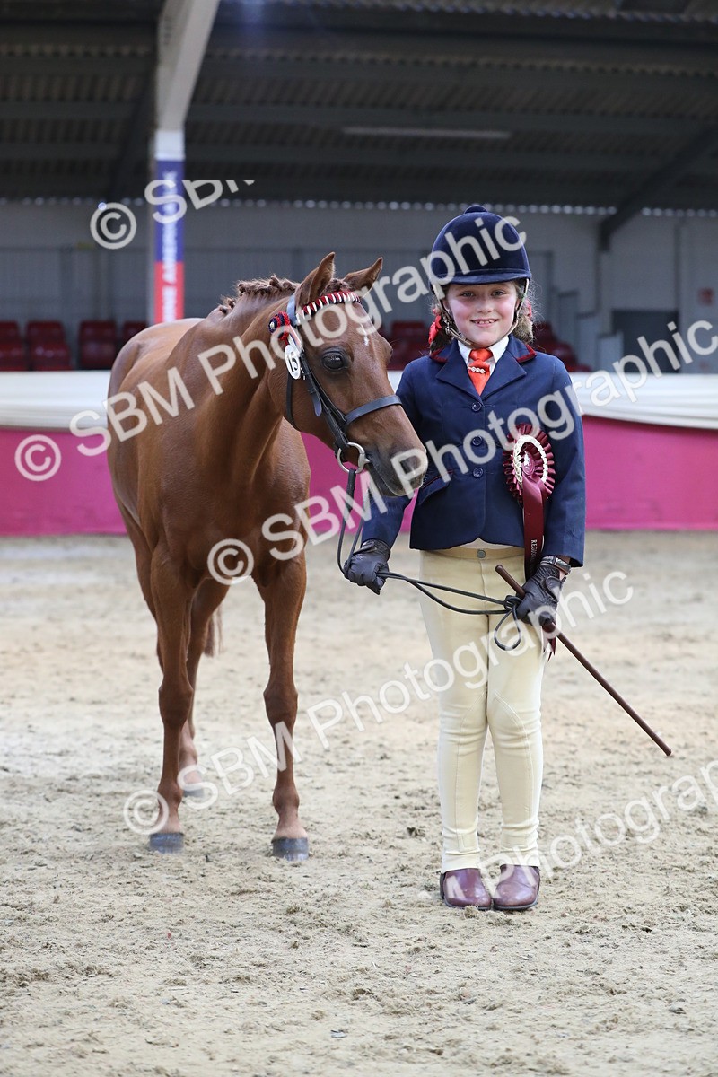 SBM_06469 - Class 9R Regional- IH Pre Vet