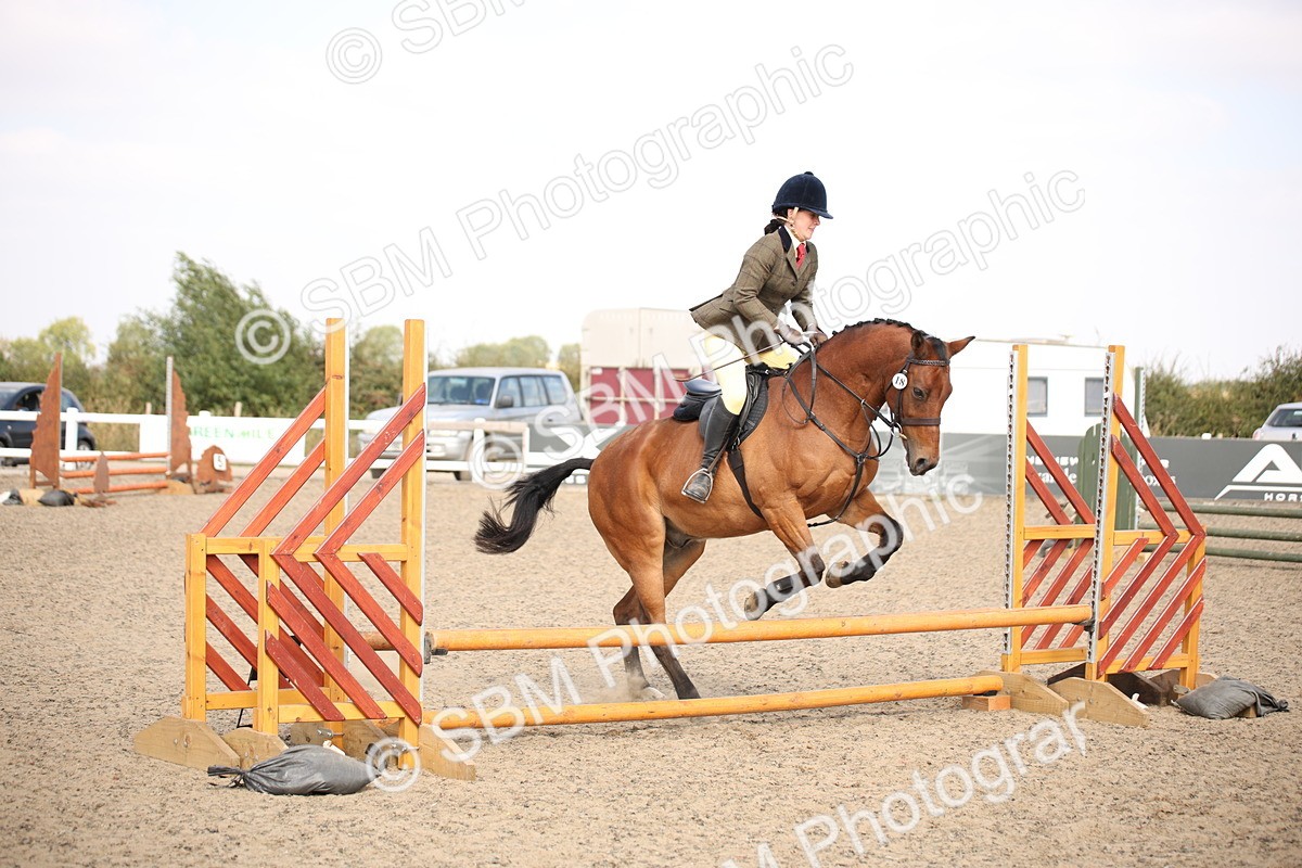 SBM_14145 - Class 407a - Working Veteran 60cm (15-19