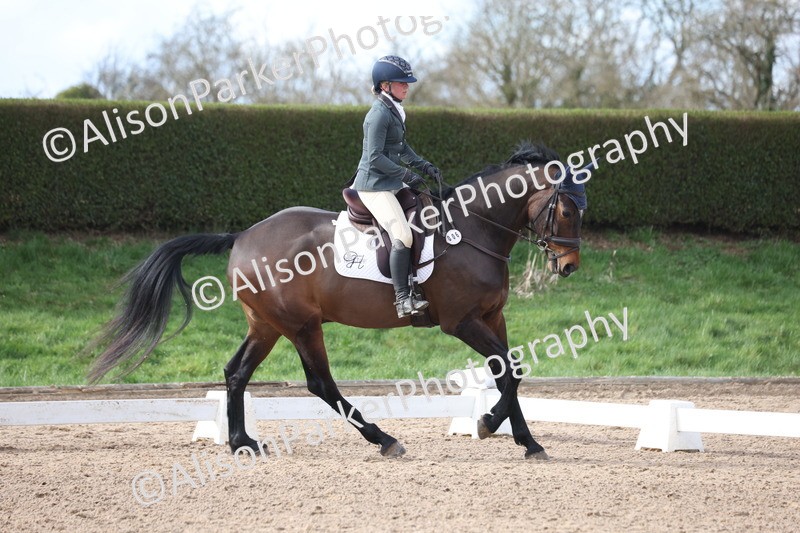 20260228-0737 - Class 5 - Novice 2