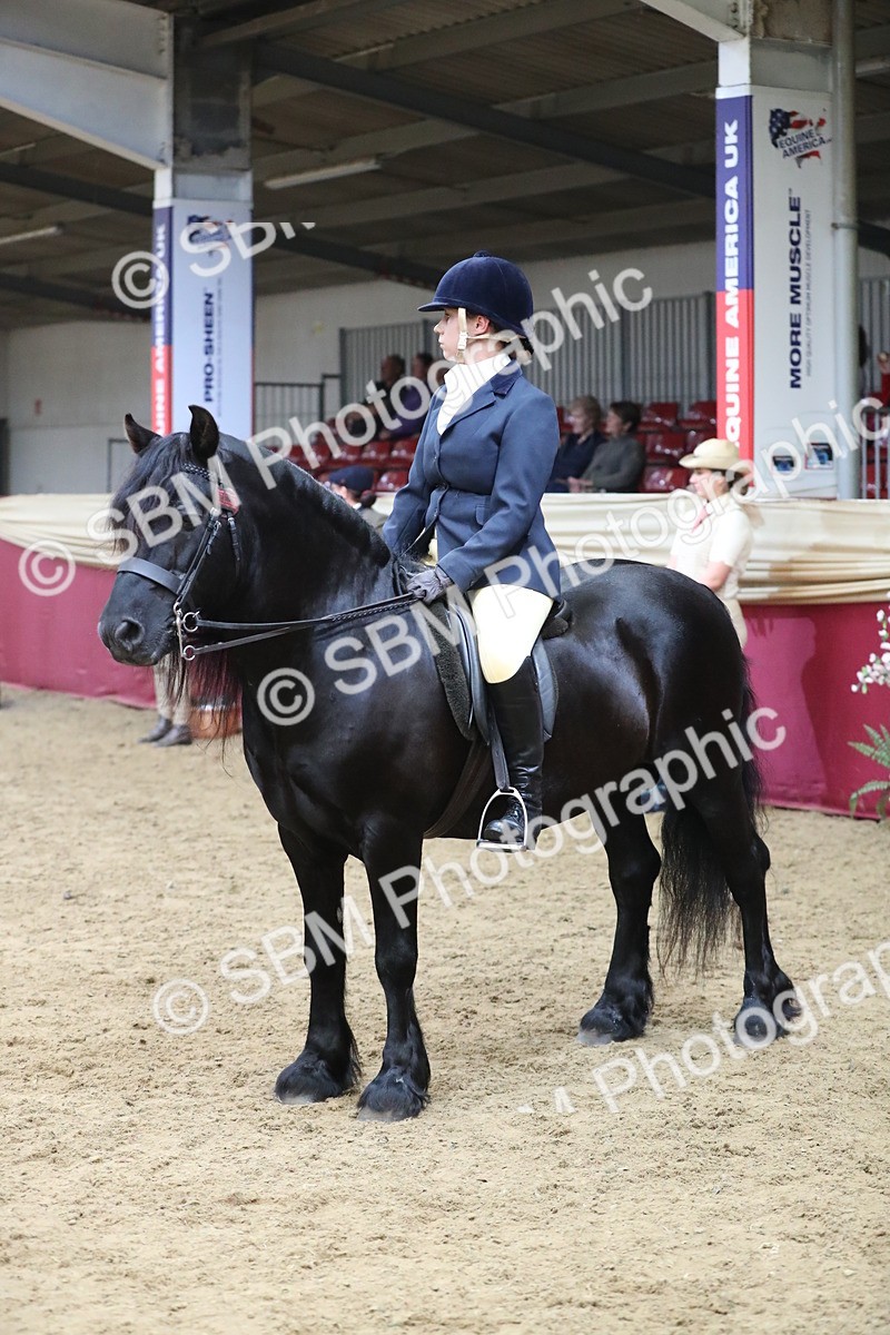 SBM_16416 - Class 502 M&M Ridden Supreme Final