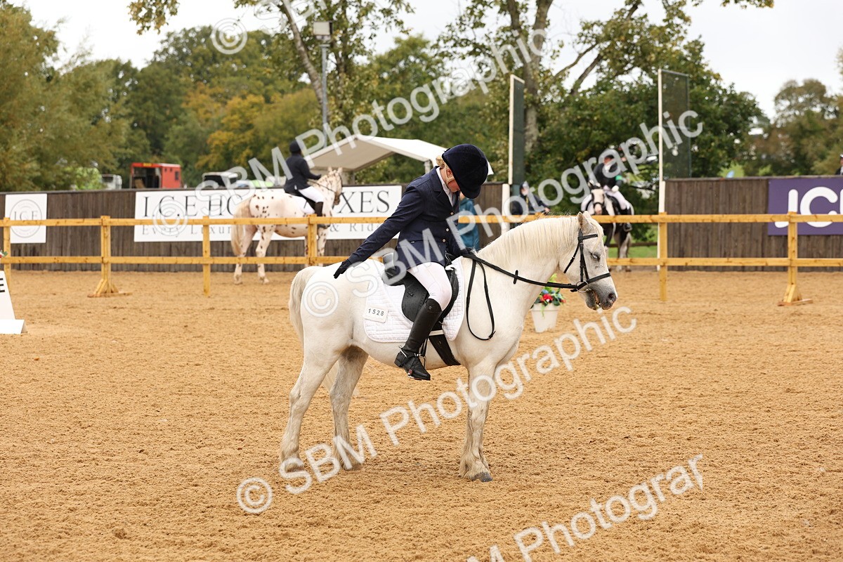 SBM_00688 - D1 - Small Tour Championship Intro 1