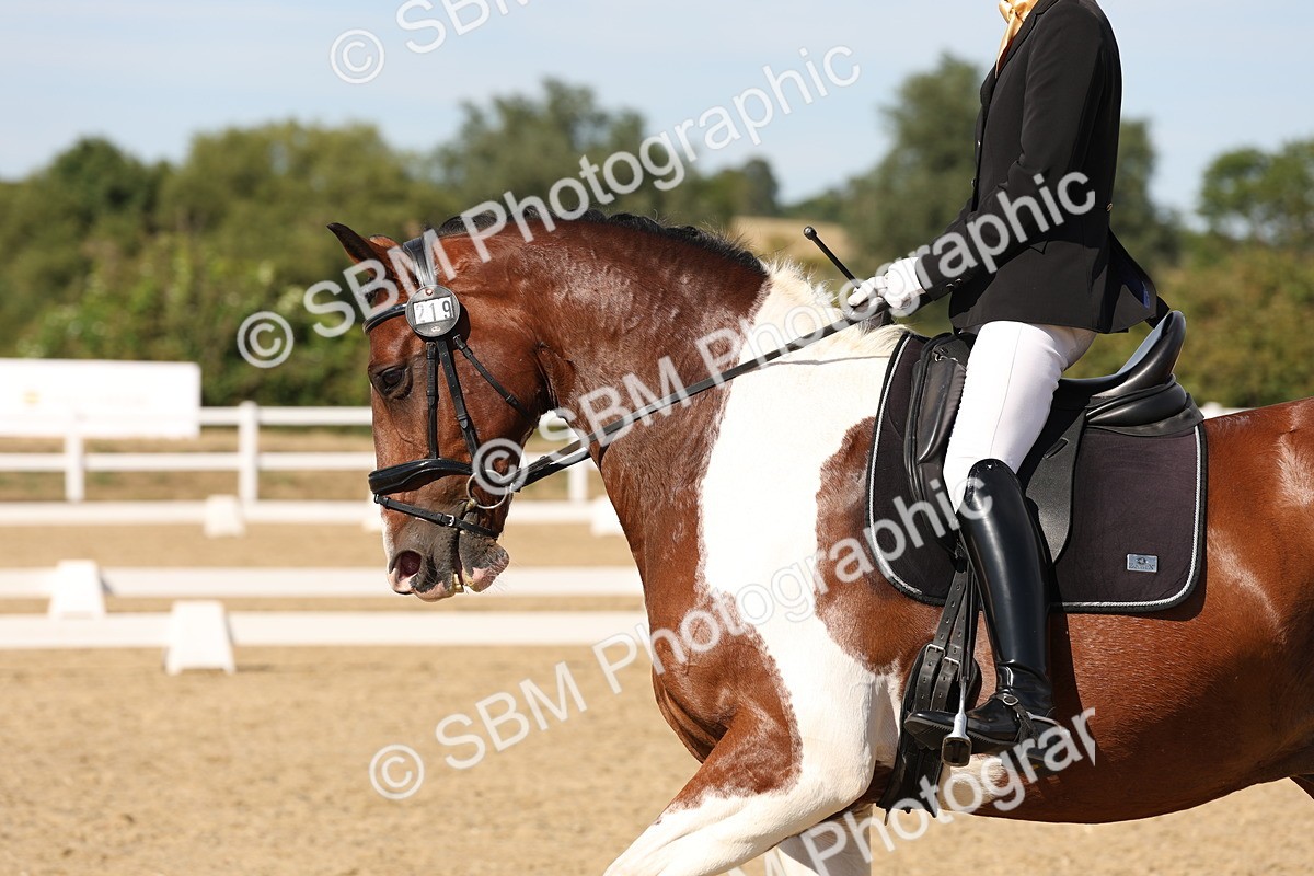 SBM_003874 - Elementary 4