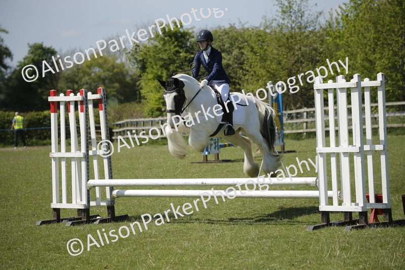 20250427-2352 - Class 13 - Novice Jumping 60cm
