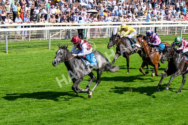110725-Race 5-Mahras Love-0425 - Race 5 4.32pm Laura Barry Memorial Handicap