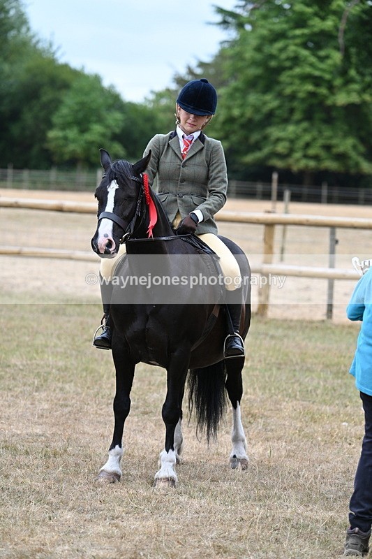 WJ7_0667 - Class 6 Ridden Mountain and Moorland
