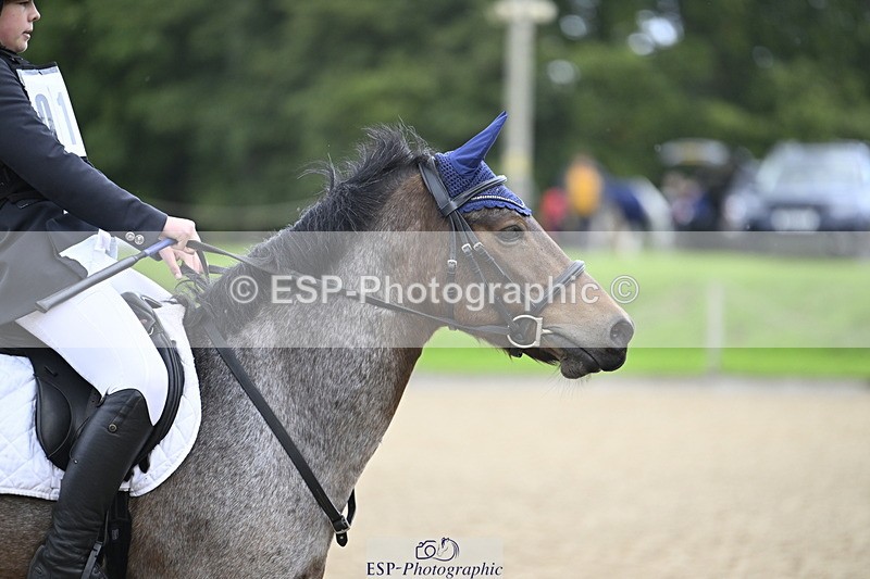 251005A-093549-03024 - Cls 03 GR 60cm