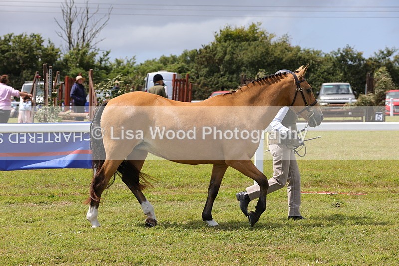 1X9A4899 - Class 35: Veteran In Hand