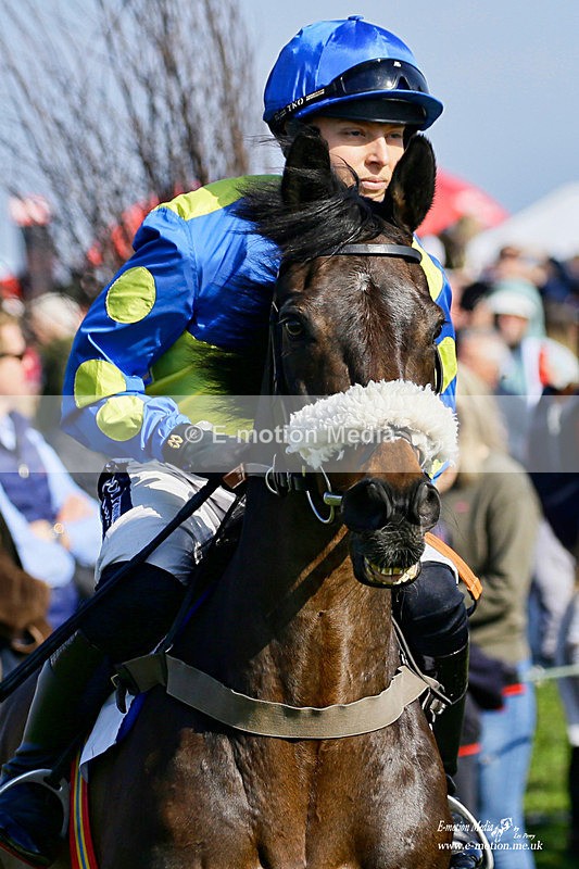 PtP 200322 189 - Mendip Farmers Point-to-Point 20/03/22