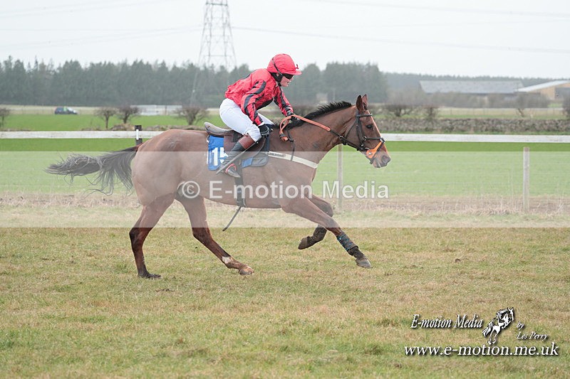 PtP 210124 542 - Cocklebarrow Races Point-to-Point 21/01/24