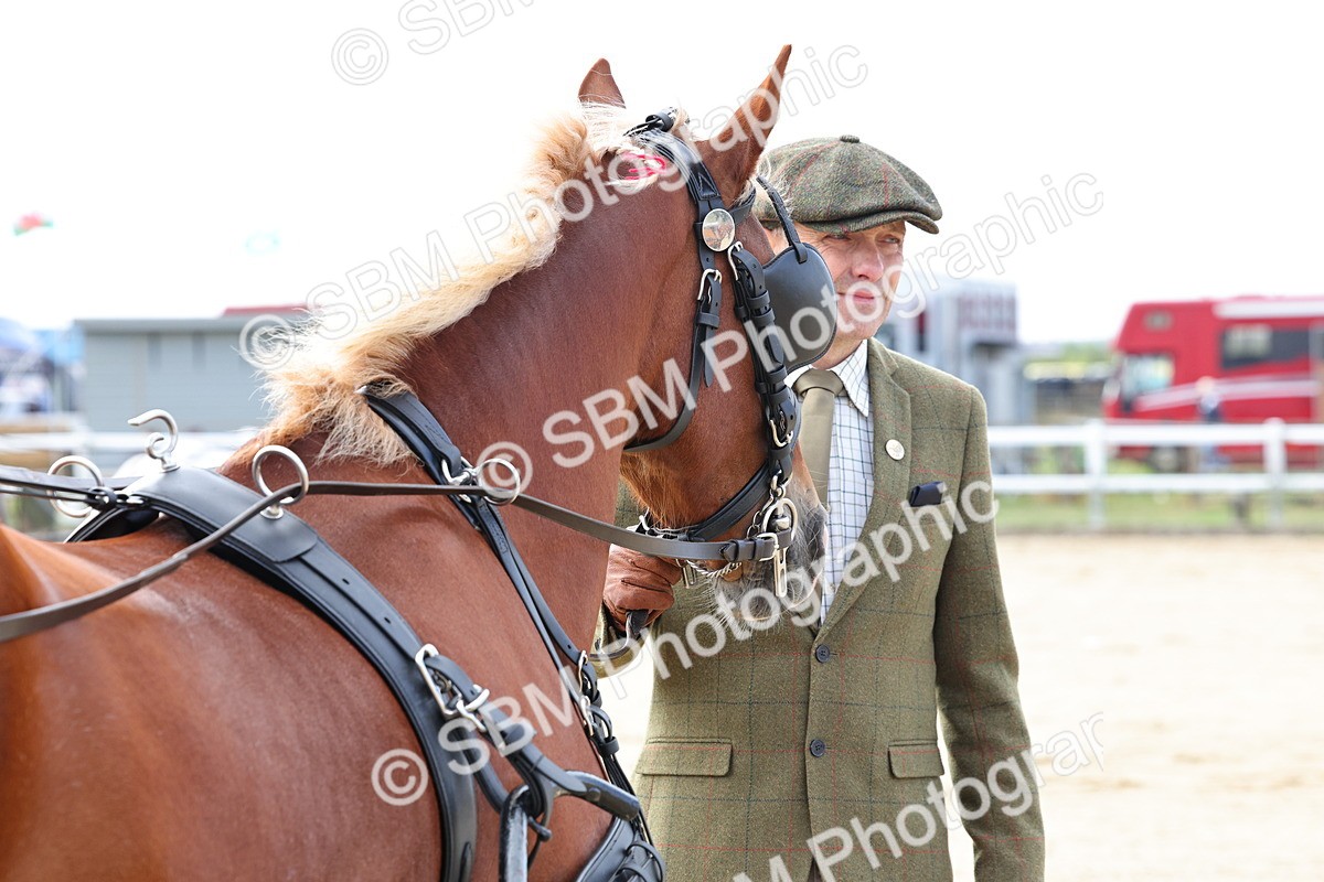 SBM_000472 - Class 4 - Junior Whip