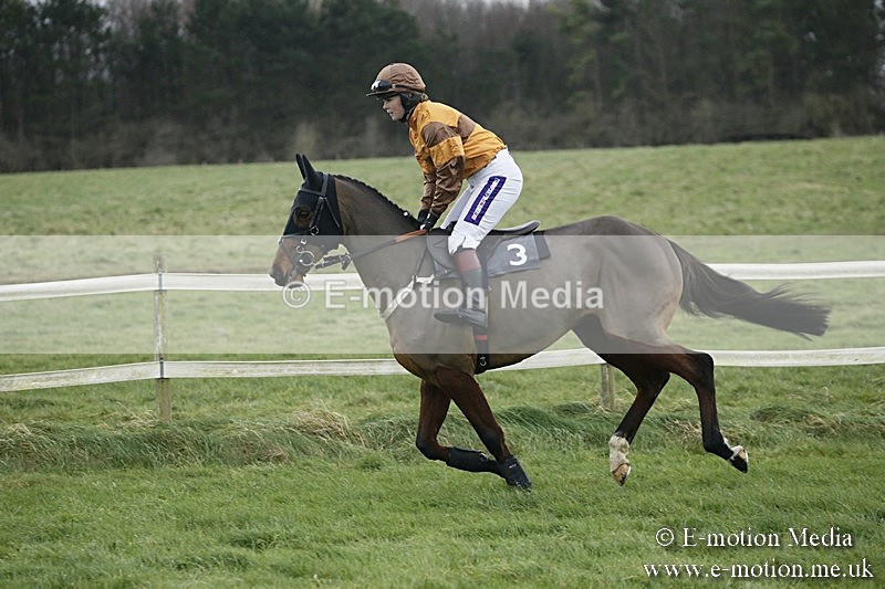 PtP 031217 77 - Hursley Hambledon Point-to-Point Larkhill 03/12/17