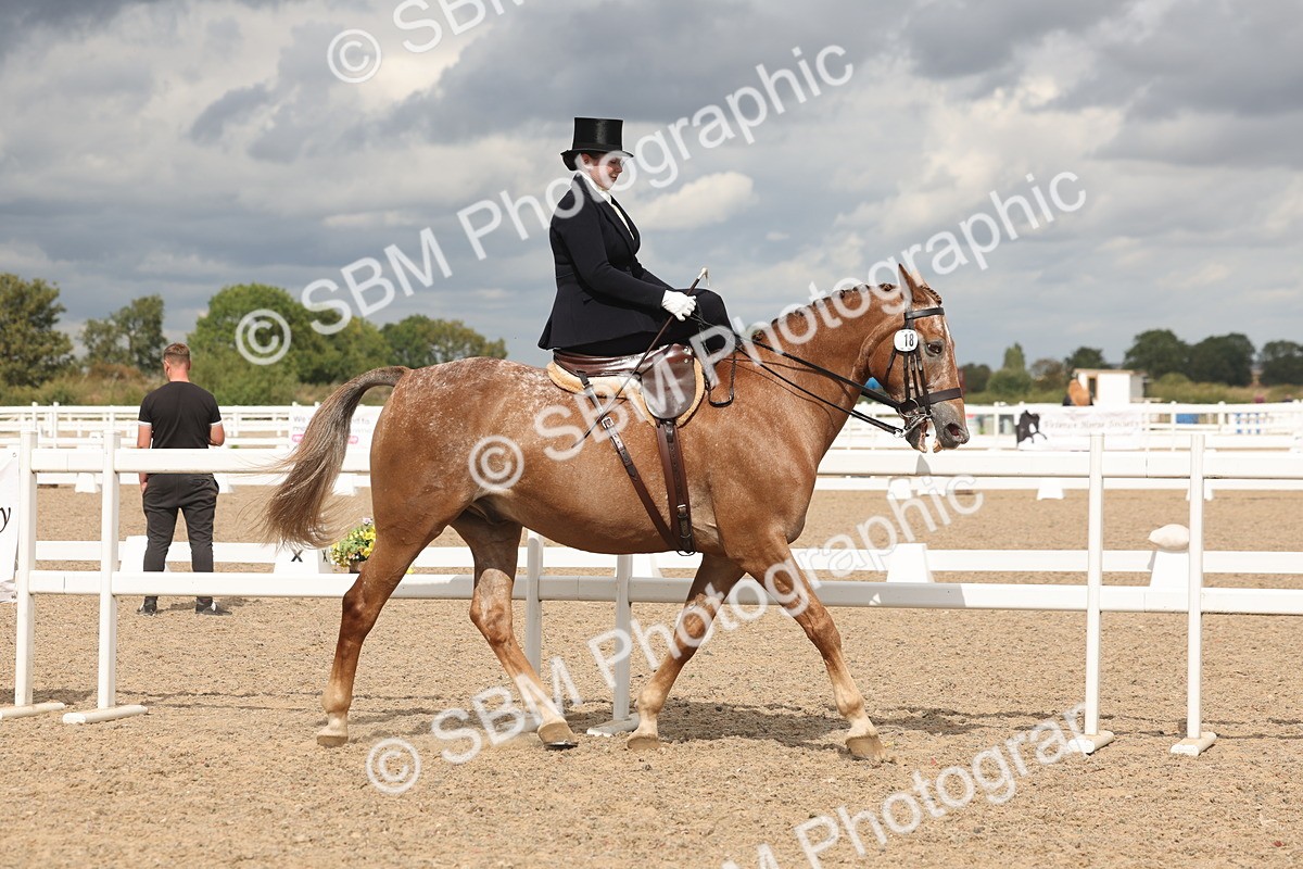 SBM_06343 - Class 22 - SSA - Equitation