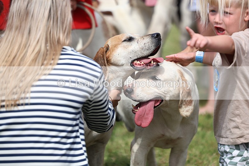 3E7A0217 - Parade of Hounds
