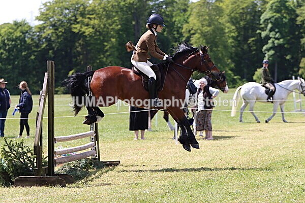 IMG_3728 - Working Hunter