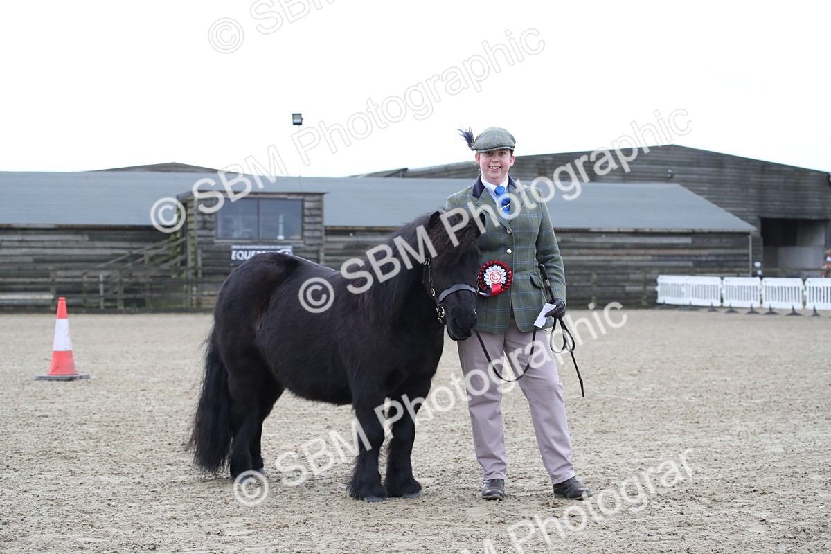 SBM_003896 - Class 1-4 - Young Stock classes Inc. In Hand Championship