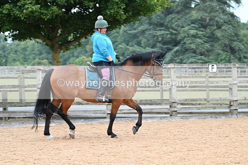 WJ7_8229 - Poles 11:00am