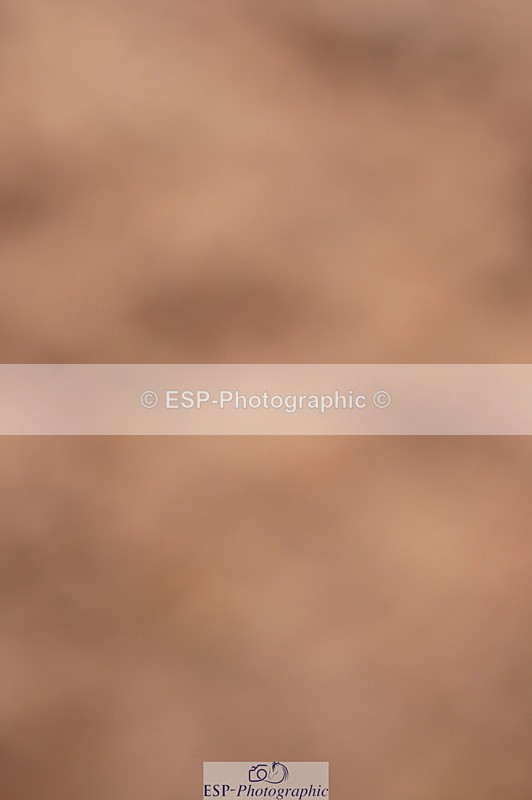 240628A-174444-00603 - Cls 2 Intro 90cm