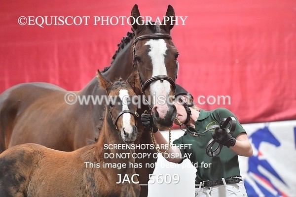 JAC_5609 - 13 Zi Real McCoy