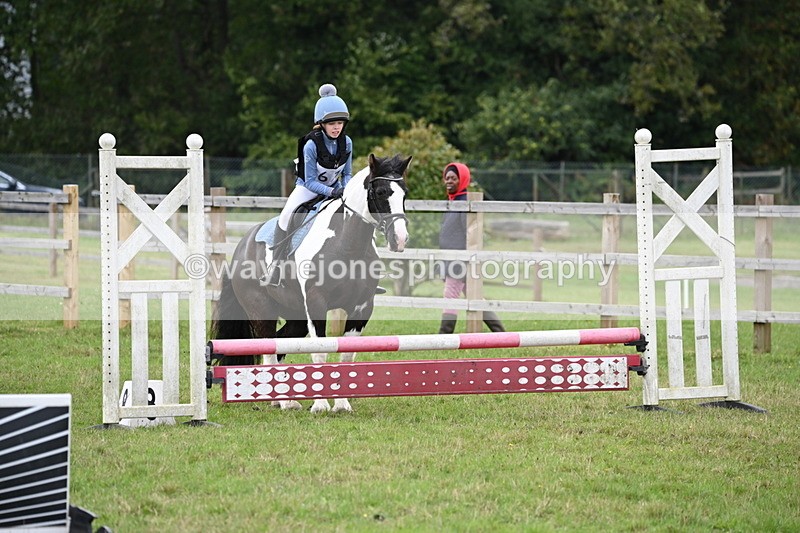 WJ6_1910 - 60cm Time 12:30 to 12:49