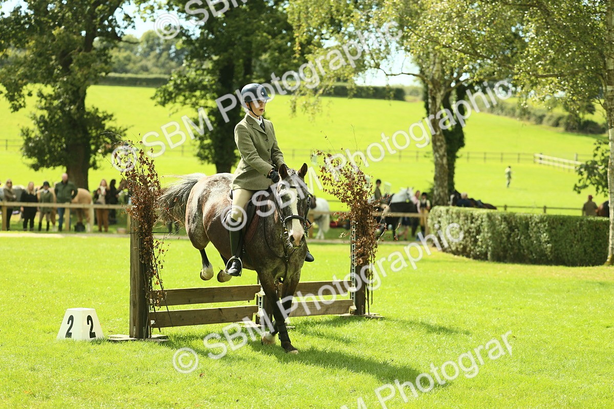 SBM_42133 - S29 - Novice & Newcomers Working Hunter Pony