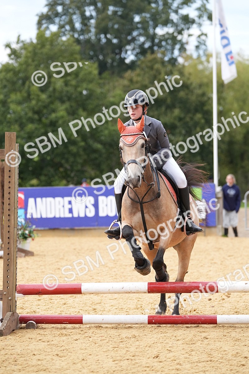 SBM_74750 - J4 - Mini Tour Junior Pony 45cm Championship