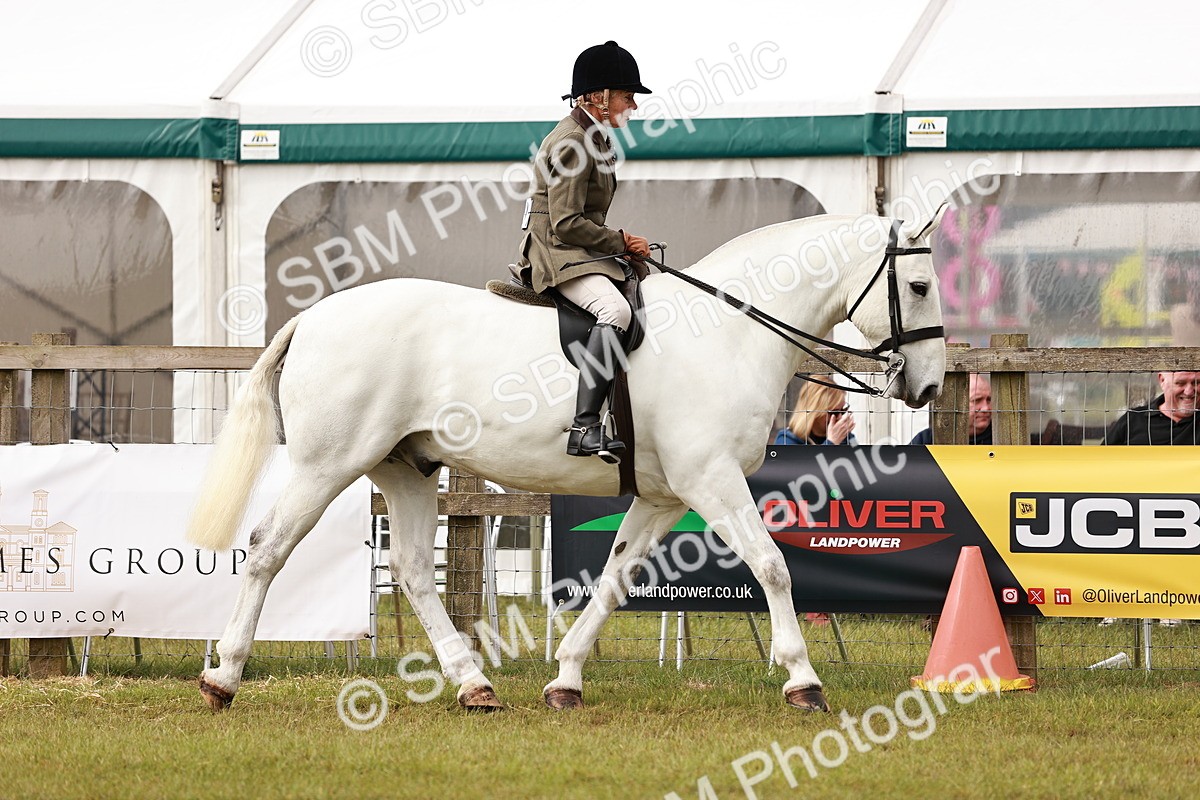 SBM_12981 - Class 85-87 - RIHS Cobs